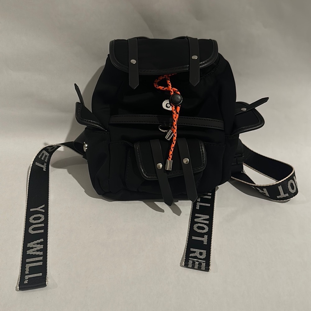 Zara mini satchel (Bella Hadid type style )